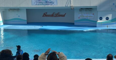 南知多ビーチランド